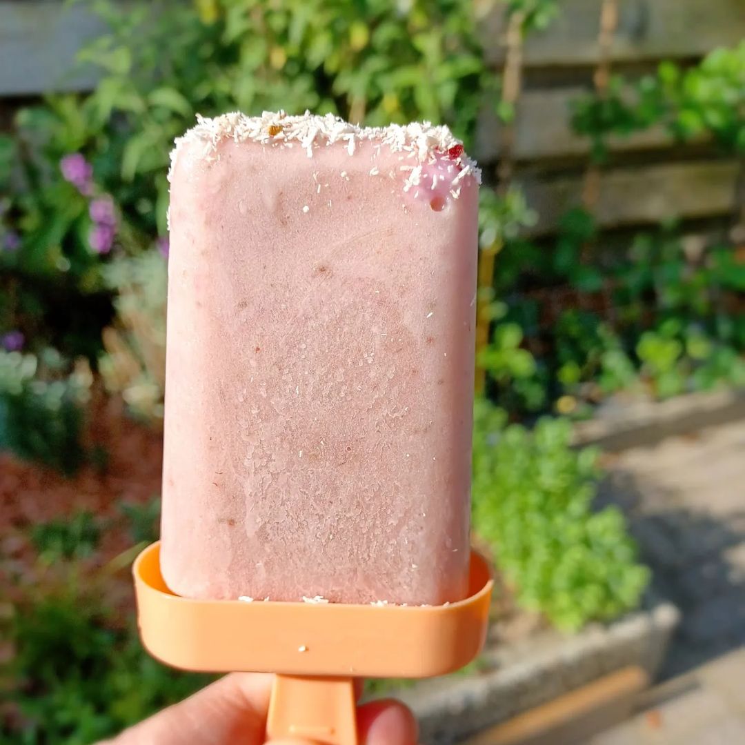 Kindershake IJsjes